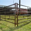 Corral ovino - Imagen 2