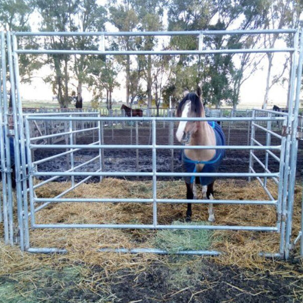 Corral equino