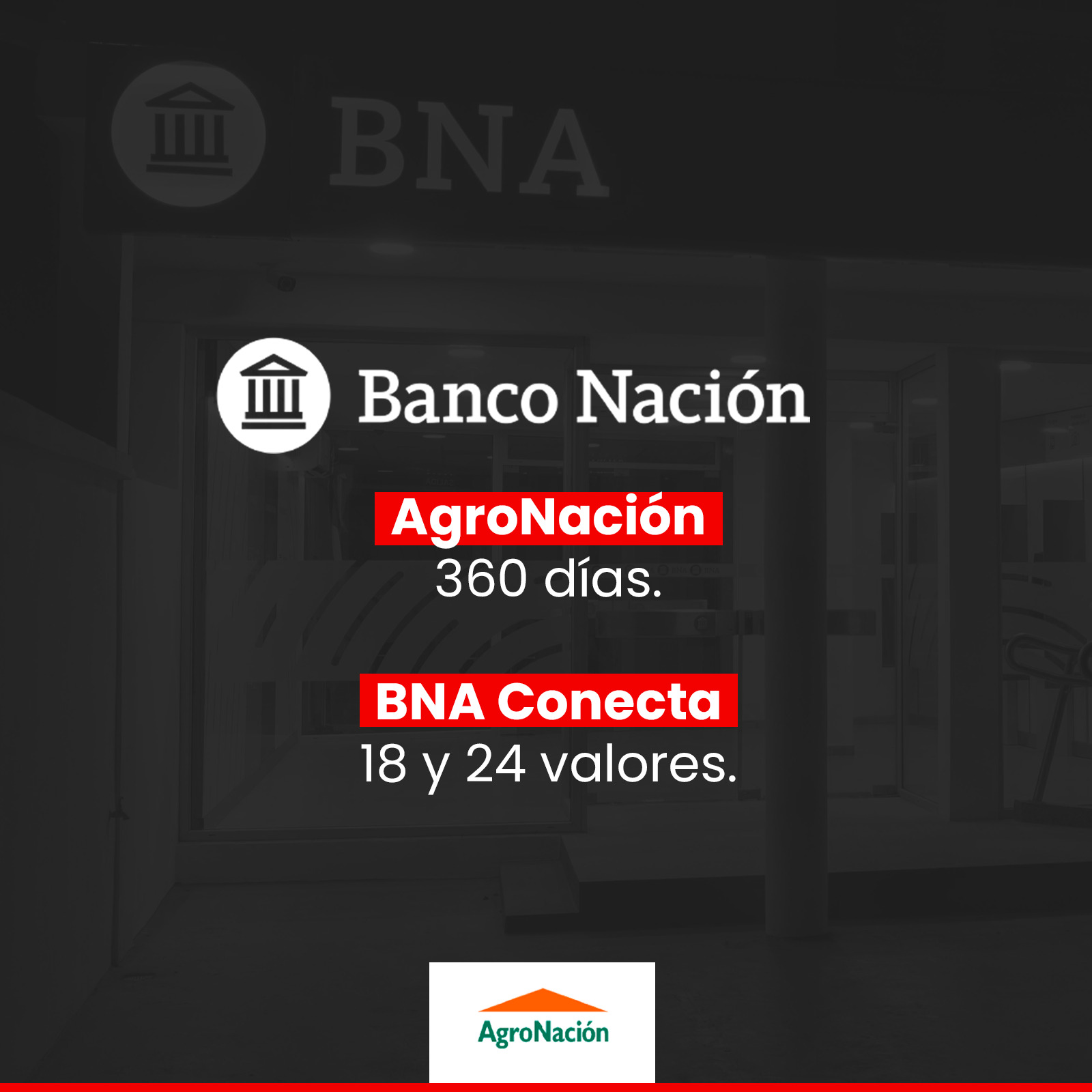 Promociones