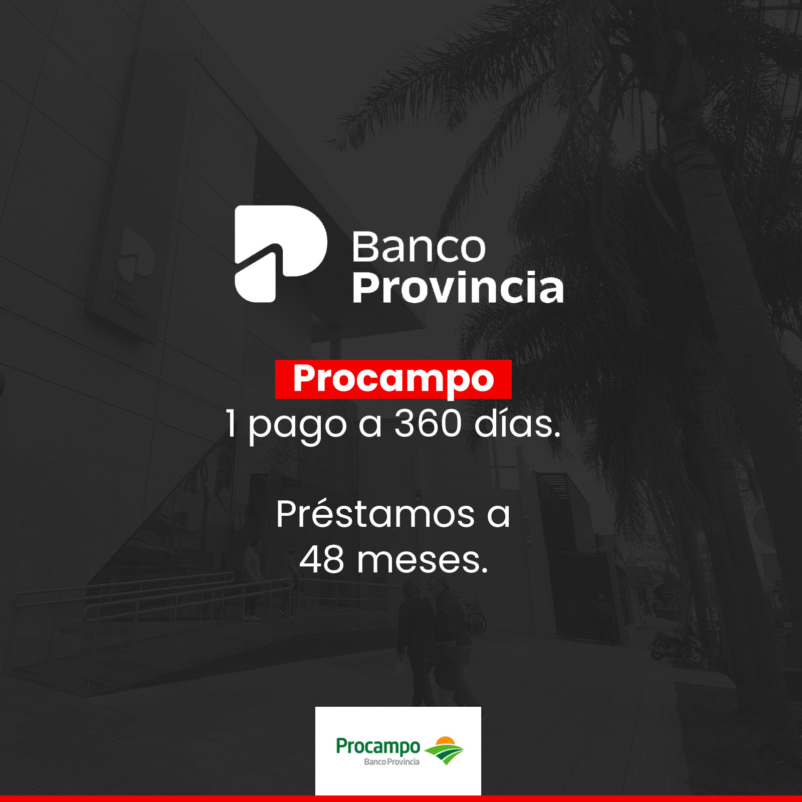 Promociones